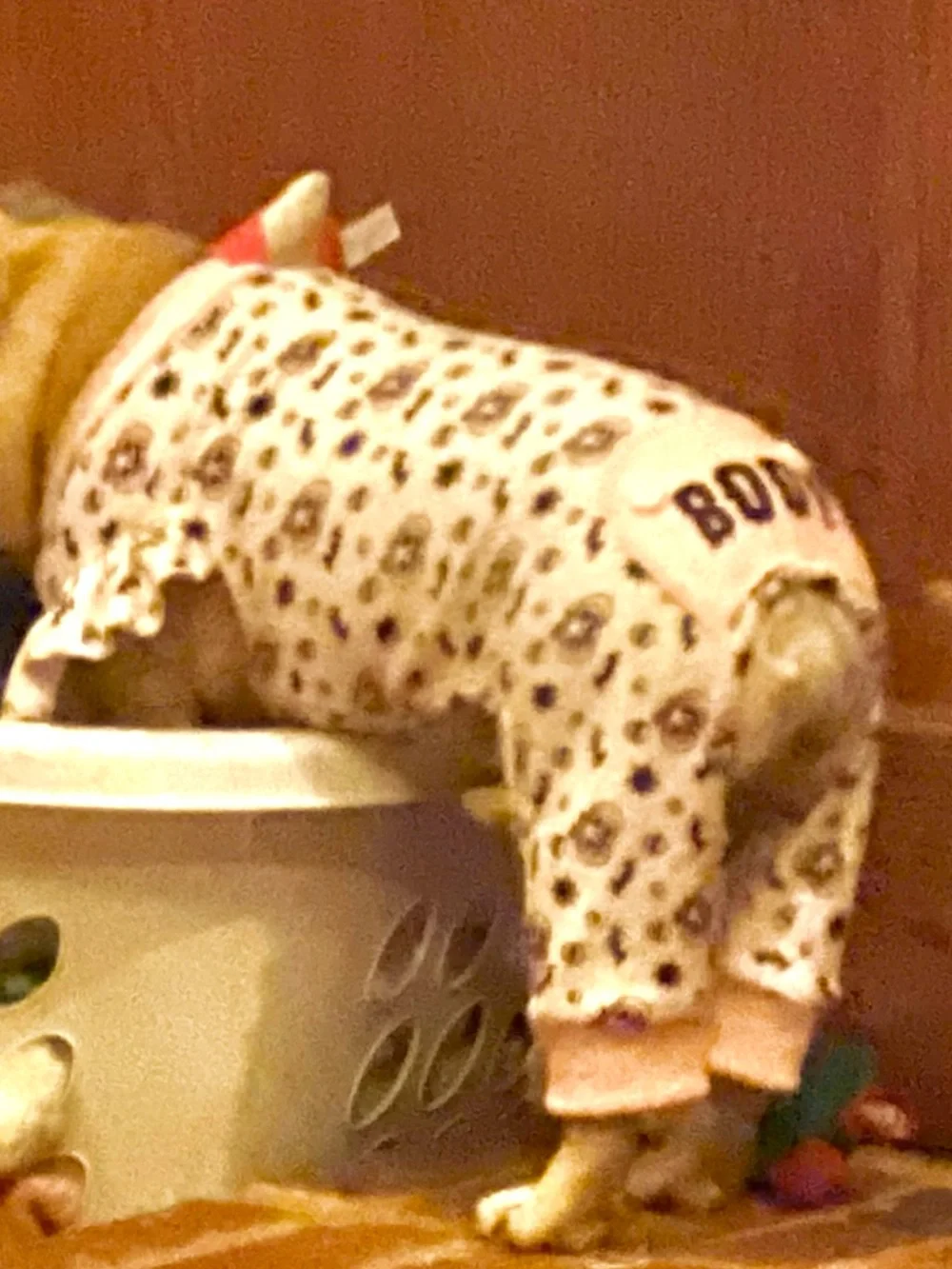 Pink Halloween 'Boo!' One-Piece Pajamas for Dog - Worn Once - L